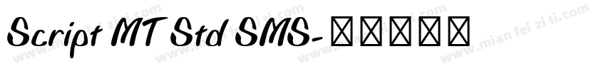 Script MT Std SMS字体转换